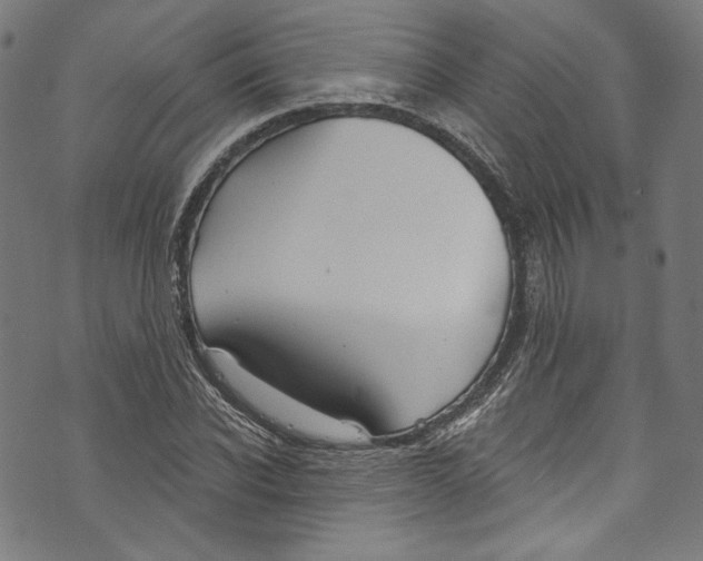 X0000073970926200609181447