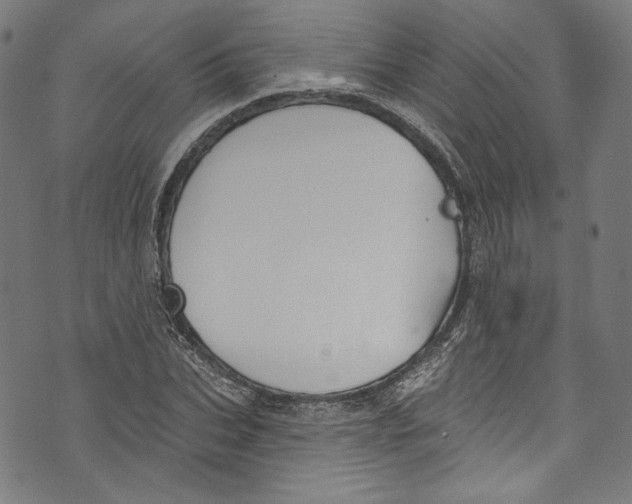 X0000073970927200609181447