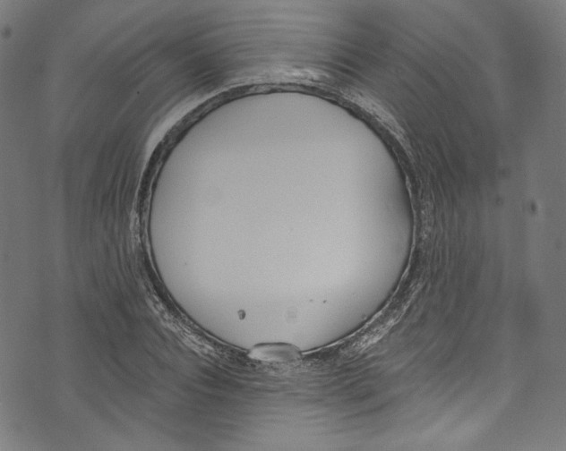 X0000073970928200609181447