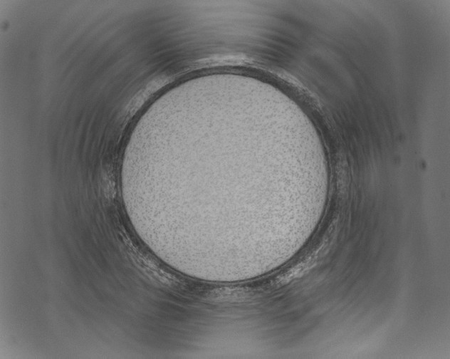 X0000073970929200609181448