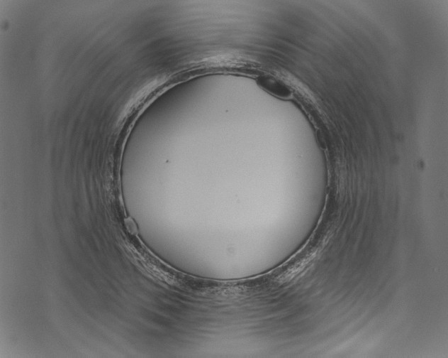 X0000073970930200609181448