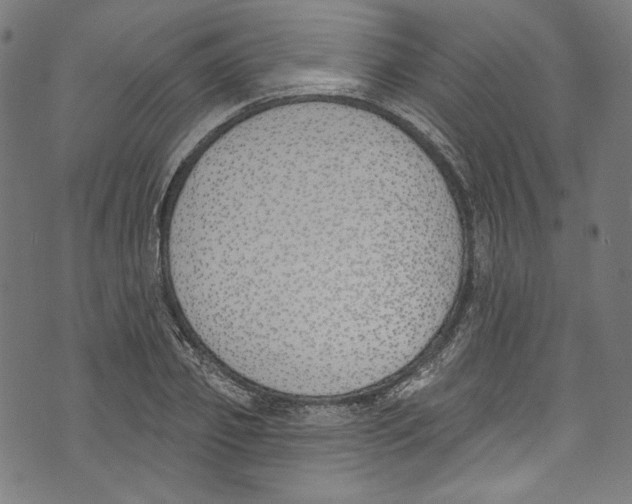 X0000073970933200609181448