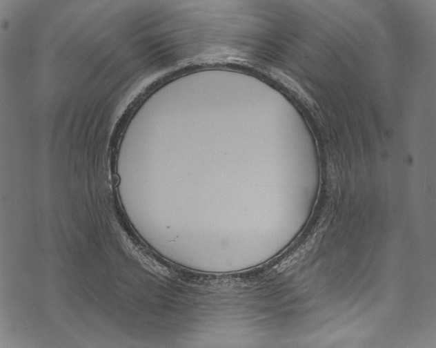 X0000073970934200609181448