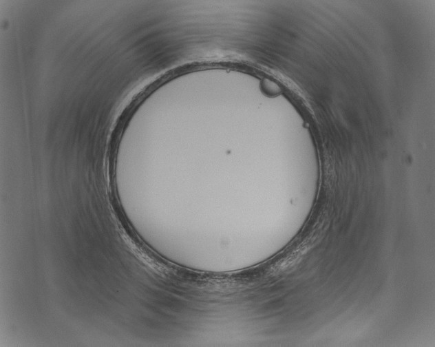 X0000073970935200609181448