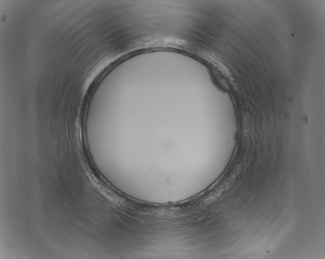 X0000073970936200609181448