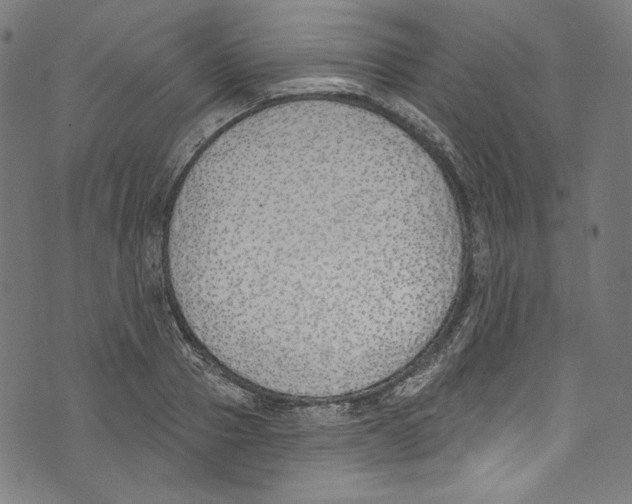 X0000073970937200609181448