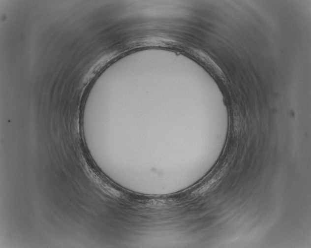 X0000073970938200609181448