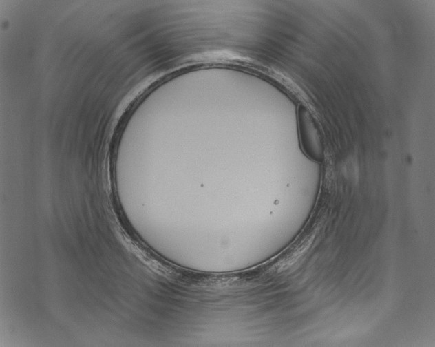 X0000073970939200609181448