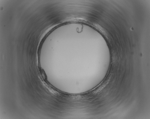 X0000073970940200609181448