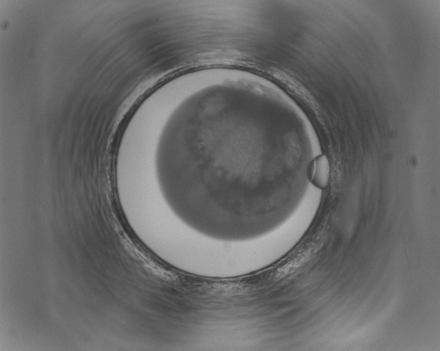 X0000073970941200609181448