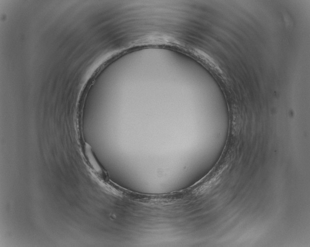 X0000073970942200609181448