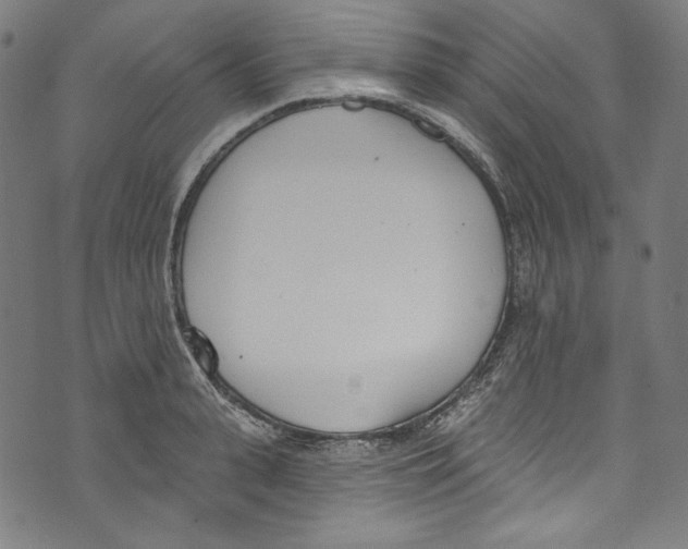 X0000073970943200609181448