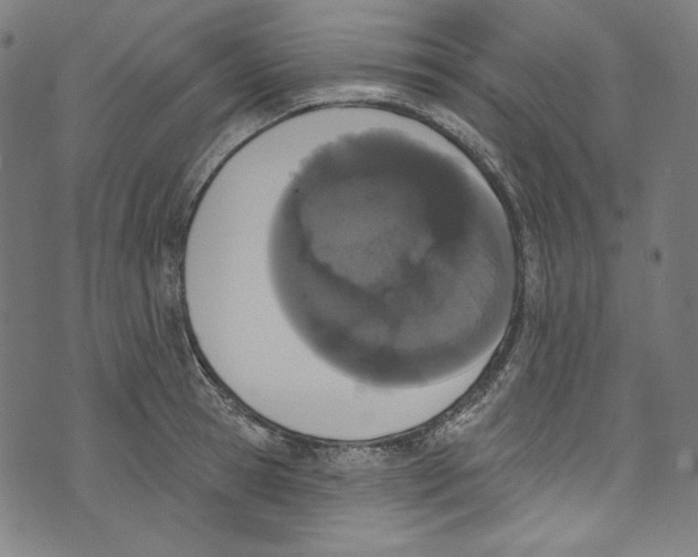 X0000073970945200609181448