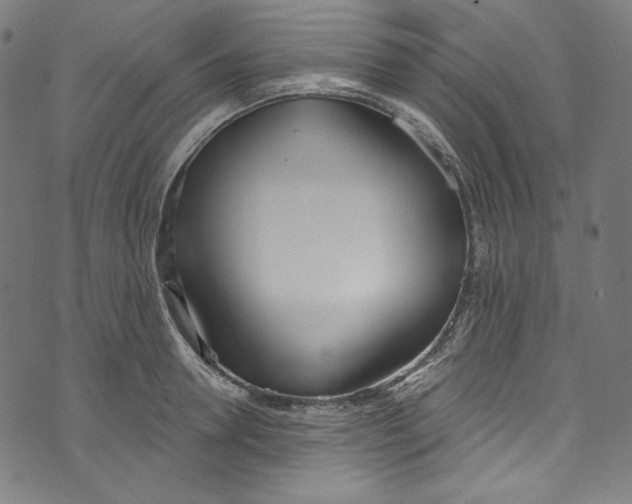 X0000073970946200609181448