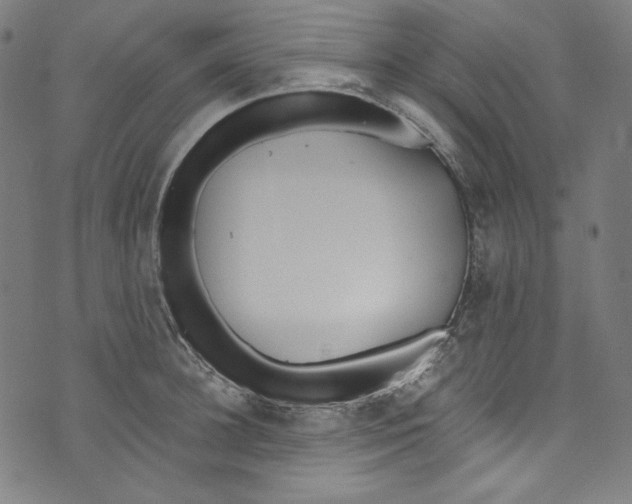 X0000073970948200609181448