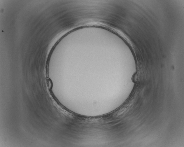 X0000073970951200609181448