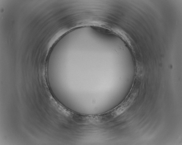 X0000073970952200609181448