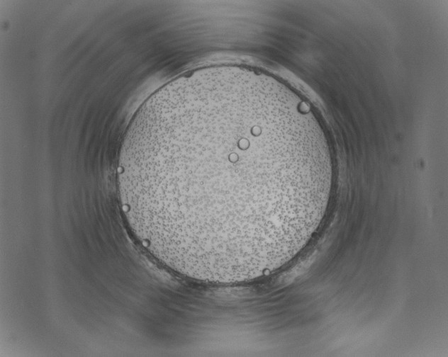 X0000073970953200609181448