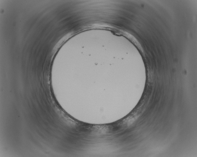 X0000073970954200609181448