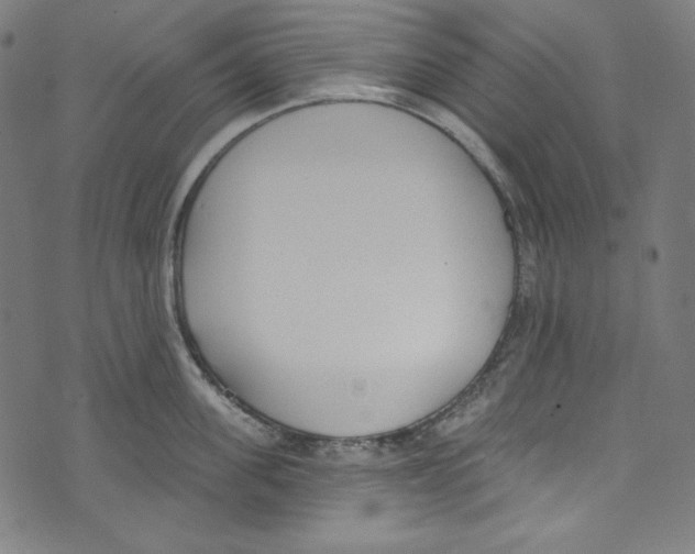 X0000073970955200609181448