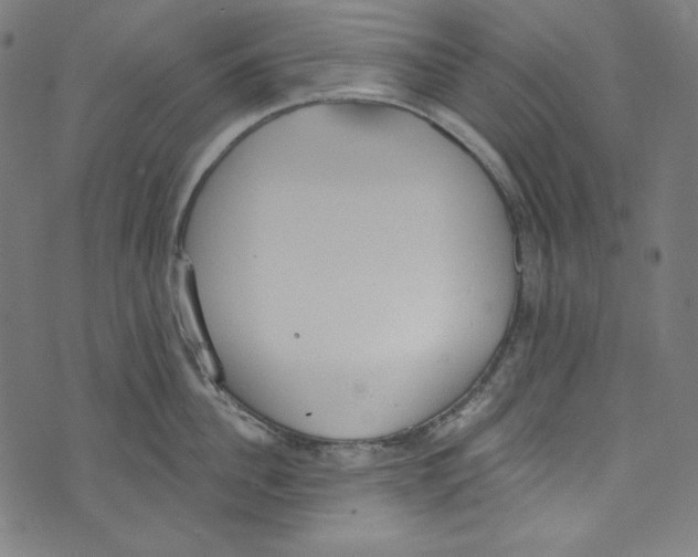 X0000073970956200609181448