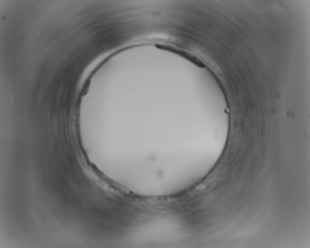 X0000073970960200609181448