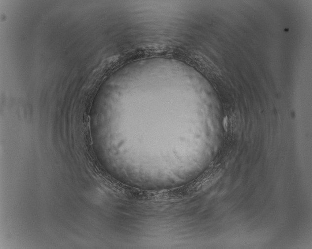 X0000073970961200609181447