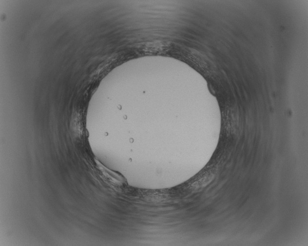 X0000073970962200609181447