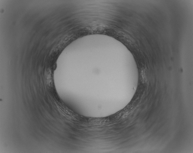 X0000073970963200609181447