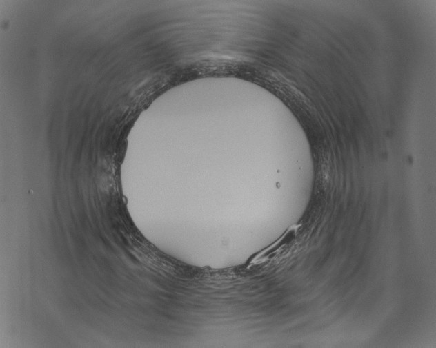 X0000073970964200609181447