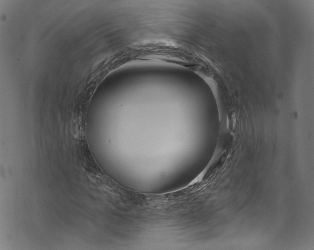 X0000073970965200609181447