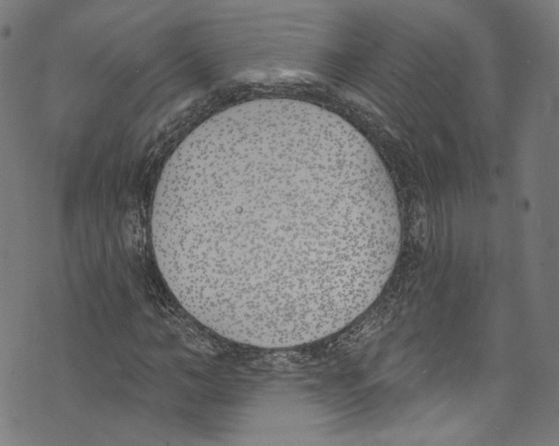 X0000073970966200609181447