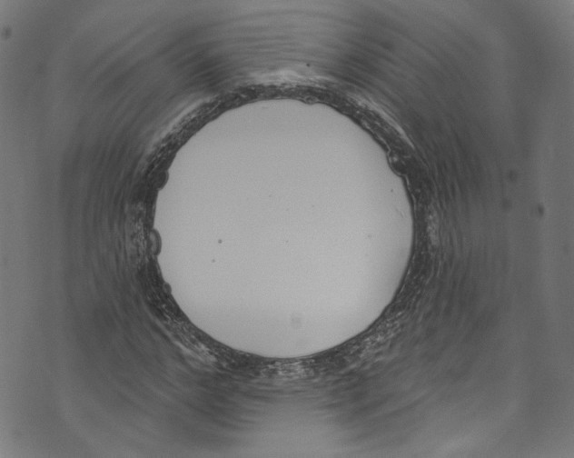 X0000073970968200609181447