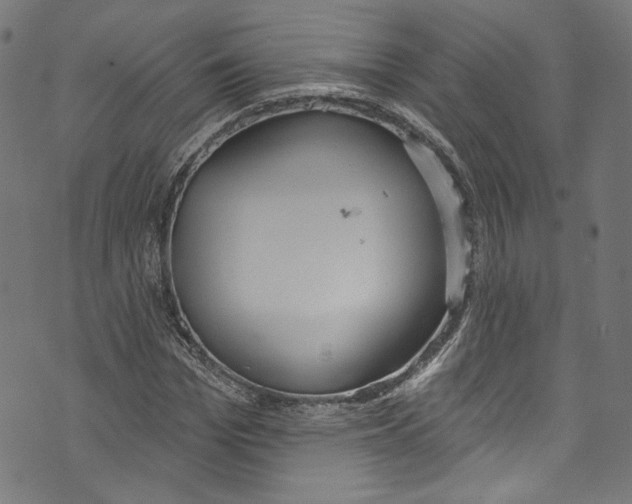 X0000073970969200609181447