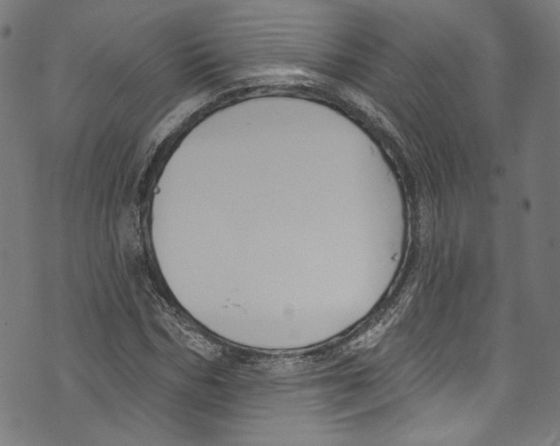 X0000073970970200609181447