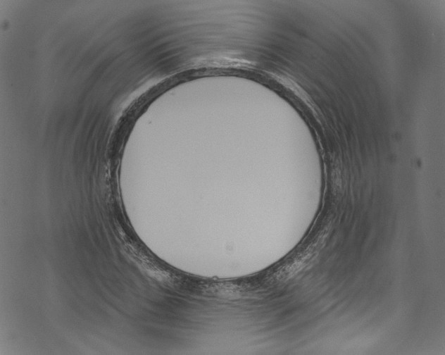 X0000073970971200609181447