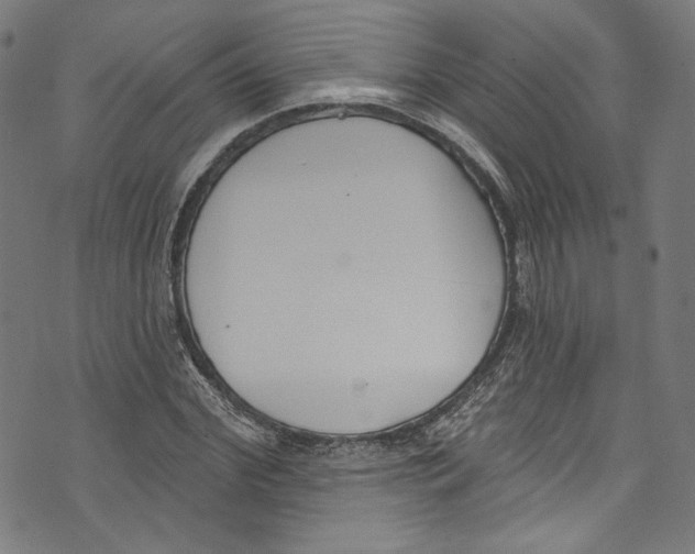 X0000073970972200609181447