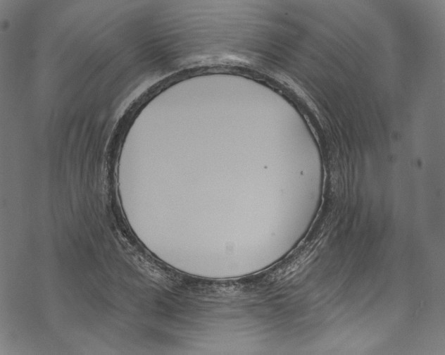 X0000073970975200609181447