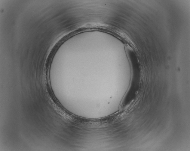 X0000073970976200609181447