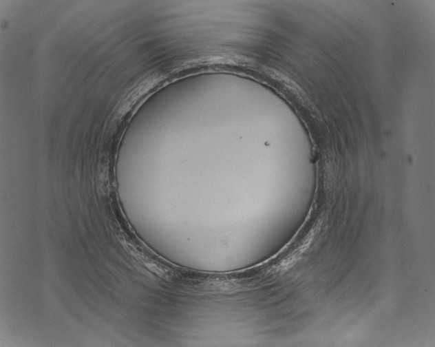 X0000073970977200609181447