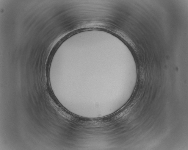 X0000073970980200609181447