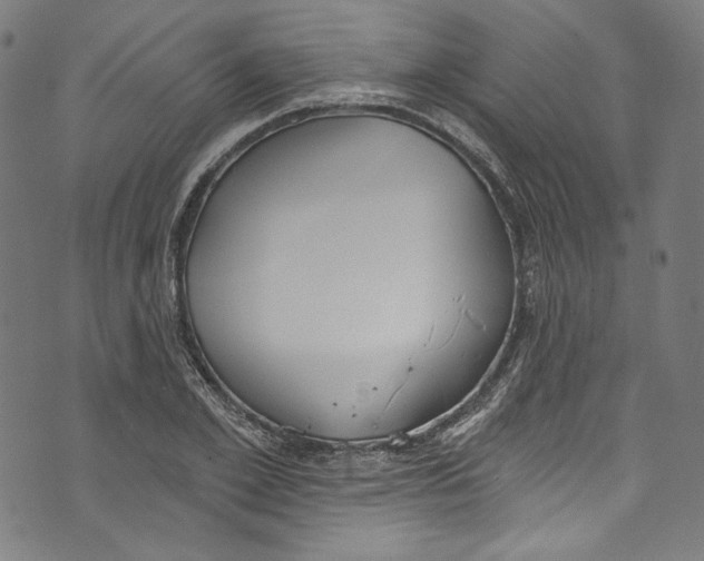 X0000073970981200609181447