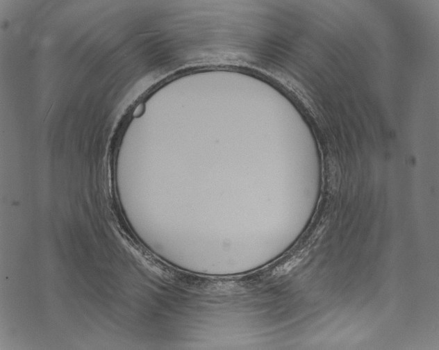 X0000073970982200609181447