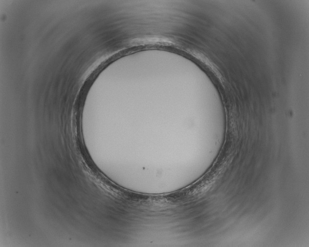 X0000073970983200609181447