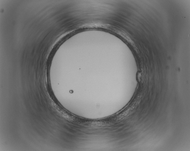 X0000073970984200609181447