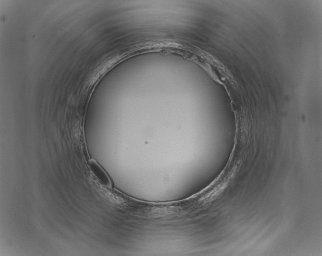 X0000073970985200609181447