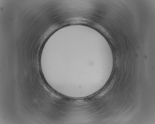 X0000073970986200609181447