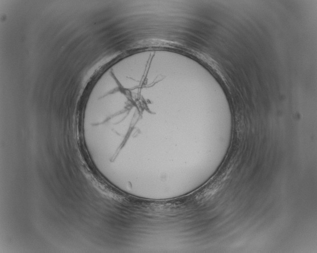 X0000073970987200609181447