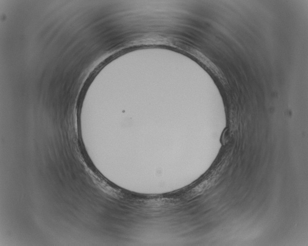 X0000073970988200609181447