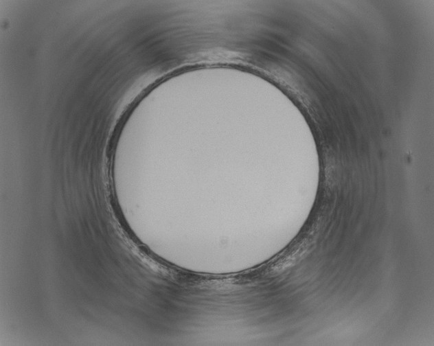 X0000073970990200609181447